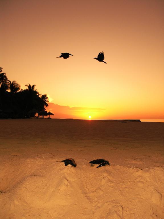 Blue World Dharavandhoo Εξωτερικό φωτογραφία