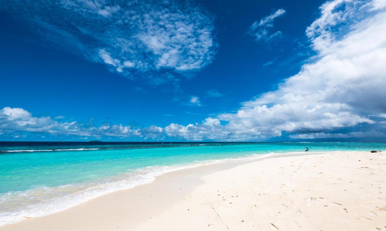 Blue World Dharavandhoo Εξωτερικό φωτογραφία