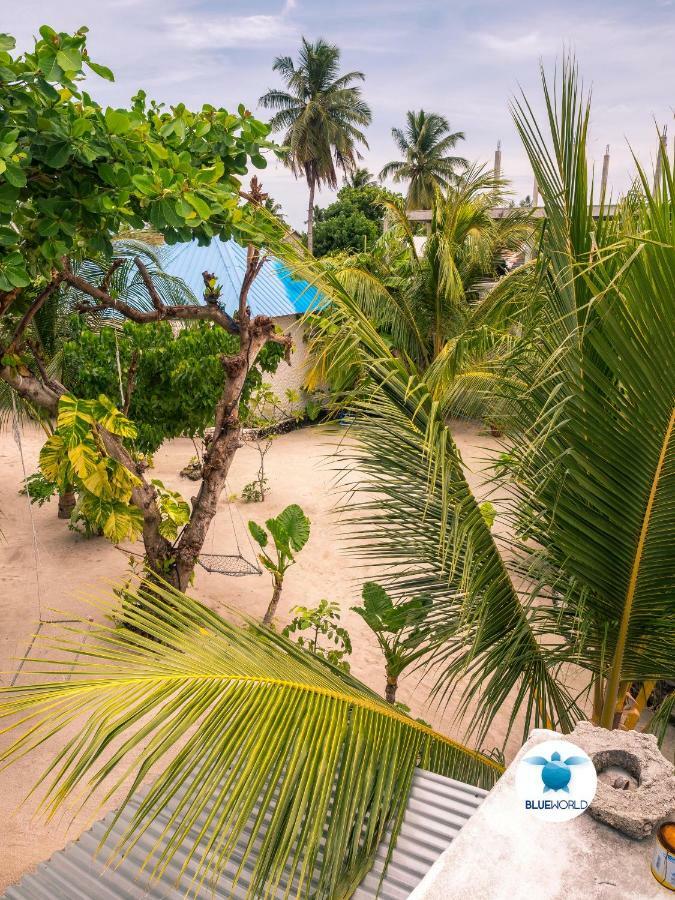 Blue World Dharavandhoo Εξωτερικό φωτογραφία